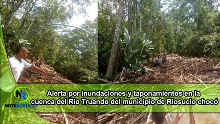 Alerta por inundaciones y taponamientos en la cuenca del Río Truandó del municipio de Riosucio chocó.