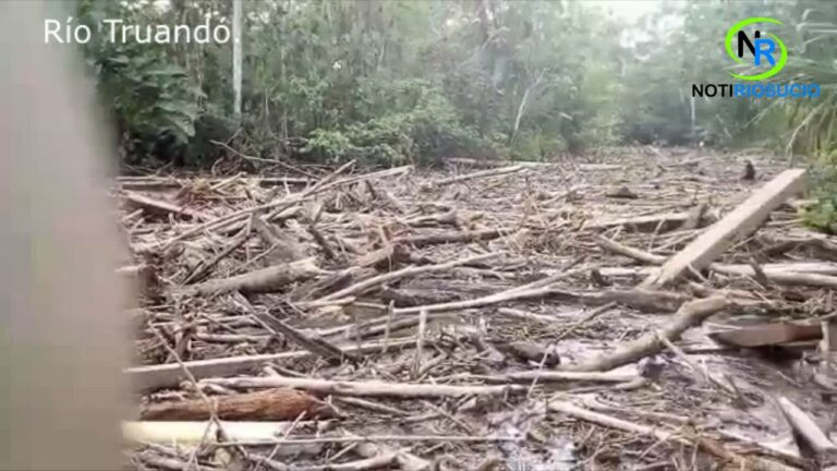 Persiten las inundaciones y taponamientos en la cuenca del Río Truandó del municipio de Riosucio – Chocó.