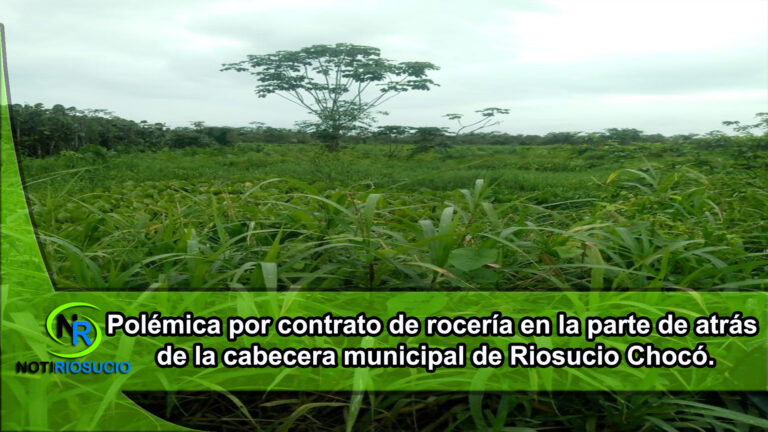 Polémica por contrato de rocería en la parte de atrás de la cabecera municipal de Riosucio Chocó.