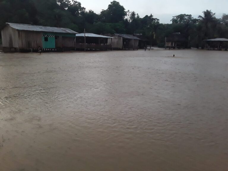 Alerta por inundaciones y taponamientos en la La Raya cuenca del río cacarica del municipio de Riosucio chocó.