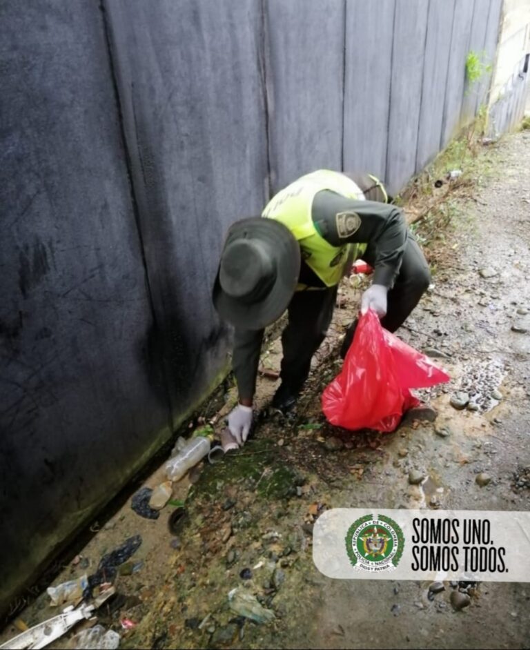 EN TRABAJO ARTICULADO DE LA POLICÍA NACIONAL CON CODECHOCÓ FUERON CONTROLADOS MÁS DE 300 CARACOLES AFRICANOS GIGANTES.