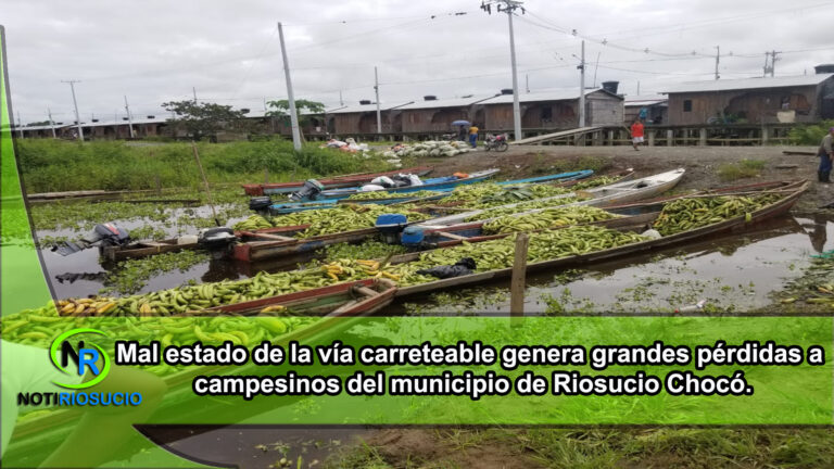 Mal estado de la vía carreteable genera grandes pérdidas a campesinos del municipio de Riosucio Chocó.