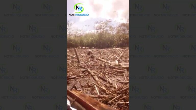 Se registran taponamiento en el río Salaquí, Municipio de Riosucio – Chocó.