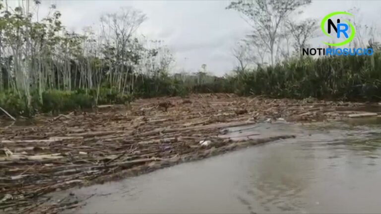 Vuelve y juegan los taponamientos en el río salaquí (Riosucio- Chocó).