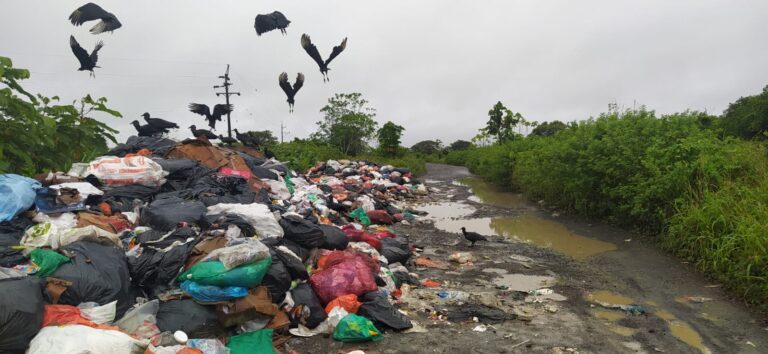 Alerta sanitaria en Riosucio – Chocó por acumulación de basuras. Alerta sanitaria en Riosucio – Chocó por acumulación de basuras.