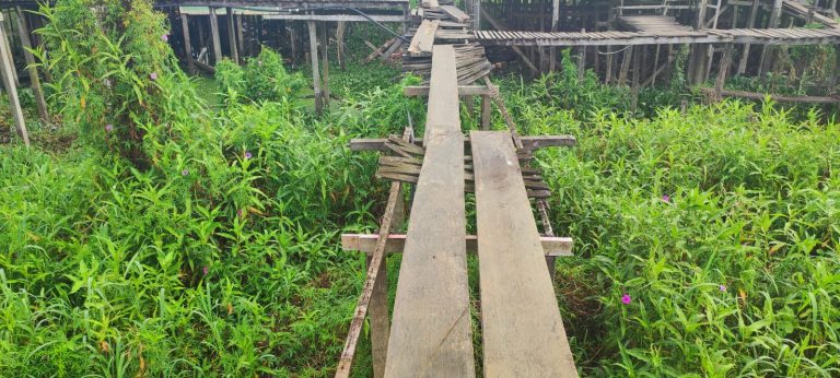 Los Puentes de la desidia Primera Parte: Cada paso en la vieja estructura peatonal es un riesgo de caer de una altura de hasta tres metros.