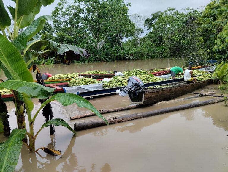 Comunidades del río Salaquí en crisis: Cambios climáticos provocan pérdidas sustanciales y llaman a acción urgente.