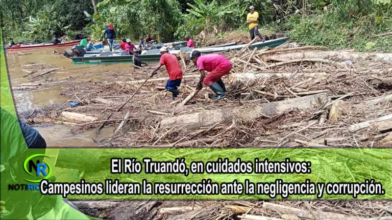 El Río Truandó, en cuidados intensivos: Campesinos lideran la resurrección ante la negligencia y corrupción.