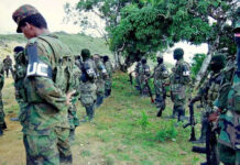 Justicia y Paz ordena indemnización millonaria a víctimas del Bloque Bananero en Urabá.